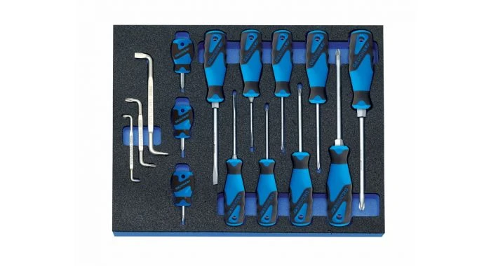 Gedore 2005 CT2-2160 3-C Schroevendraaier-set In 2/4 Check-tool Module 1 Gedore 2005 CT2-2160 3-C Schroevendraaier-set In 2/4 Check-tool Module