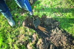 Scheppach AERO 2 SPADE 5-in-1 Pneumatische Spade - 6,3bar - 5909601900 -Makita || Bosch || Stanley Verkoop 4028490dfae1cfc8edea9994e1672404