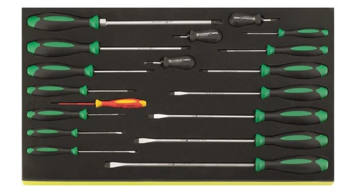 Stahlwille 96831179 18-delige Schroevendraaierset In TCS-inleg - PH/PZ/Sleuf - 96831179 1 Stahlwille 96831179 18-delige Schroevendraaierset In TCS-inleg - PH/PZ/Sleuf - 96831179